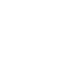 extermination rongeurs carros